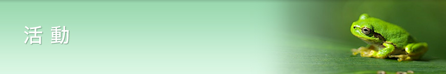 活動