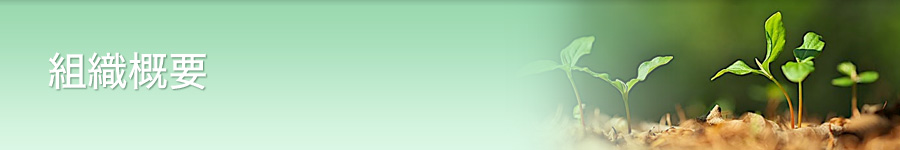 組織概要