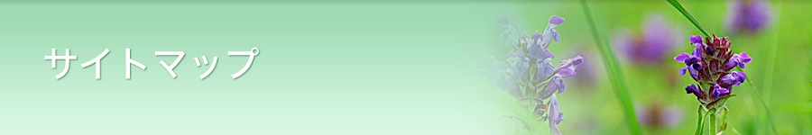 サイトマップ