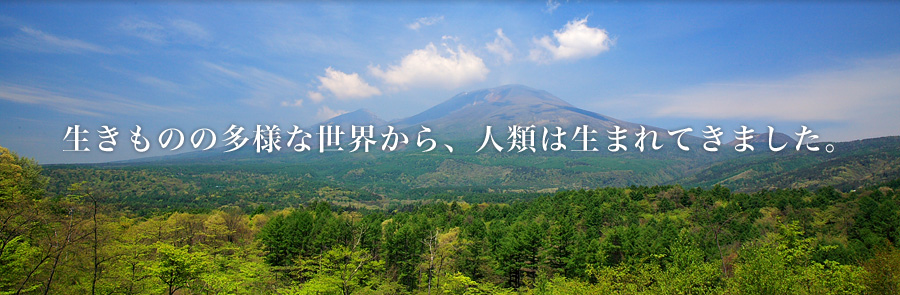 生きものの多様な世界から人類は生まれてきました。